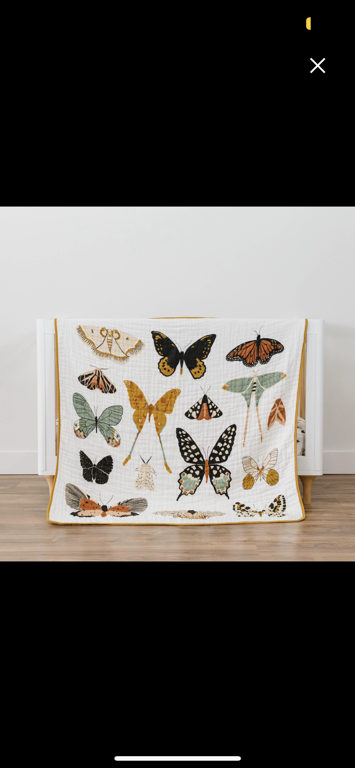 Butterfly Collectors quilt 60x72